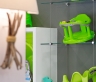 Display für Exponate - Thermobaby